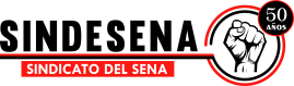 Nuevo Logo Sindesena