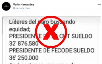 Detector: el trino de Mario Hernández sobre salarios de sindicalistas es falso